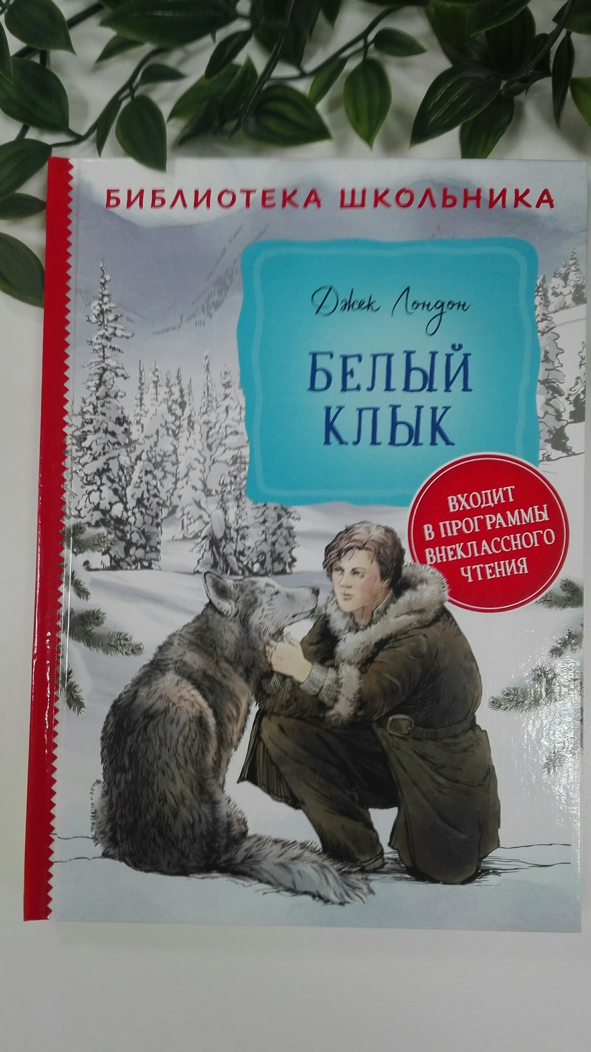 Лондон белый клык. Джек лондон белый клык 1936 бпнф. Иллюстрации к книге белый клык джека лондона. Джек лондон белый клык иллюстрации. Иллюстрации к повести джека лондона " белый клык" - ?.